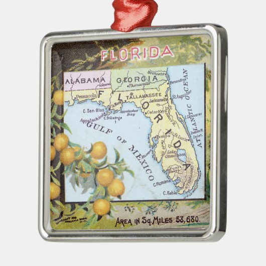  Florida Map Metalen Ornament (Links)