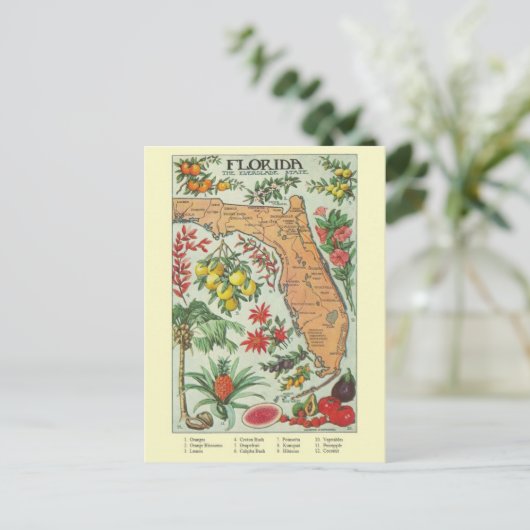  Florida Map Post Card Briefkaart (Staand voorkant)