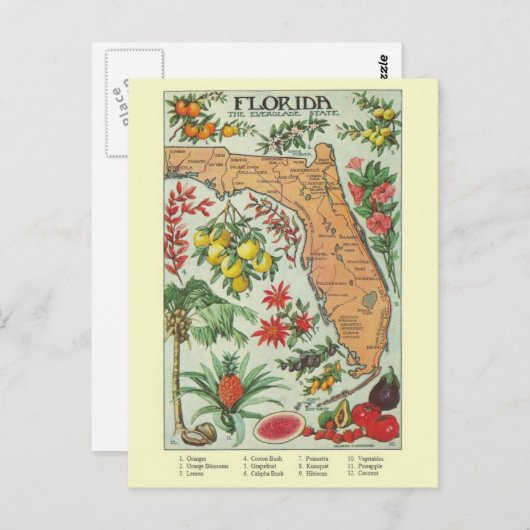 Florida Map Post Card Briefkaart (Voorkant / Achterkant)