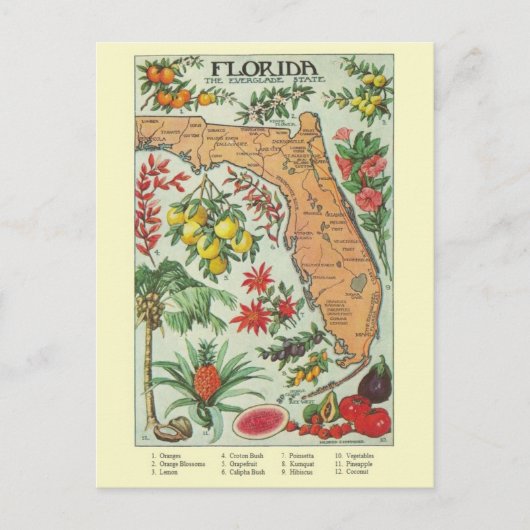  Florida Map Post Card Briefkaart (Voorkant)
