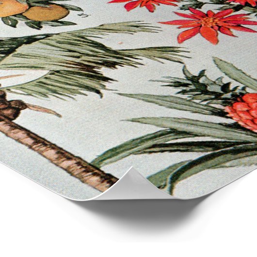  Florida Map Poster (Hoek)