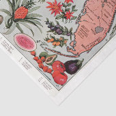  Florida Map Tissuepapier (Detail)