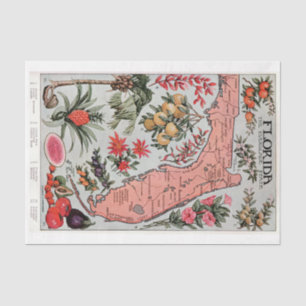  Florida Map Tissuepapier