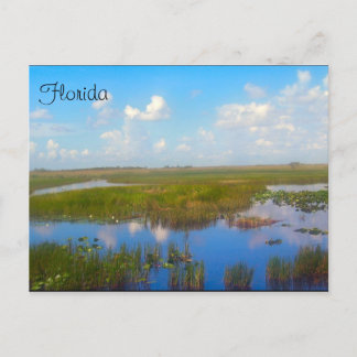 Florida Marsh Briefkaart