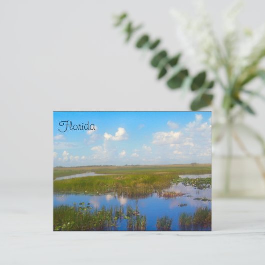 Florida Marsh Briefkaart (Staand voorkant)