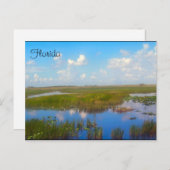 Florida Marsh Briefkaart (Voorkant / Achterkant)
