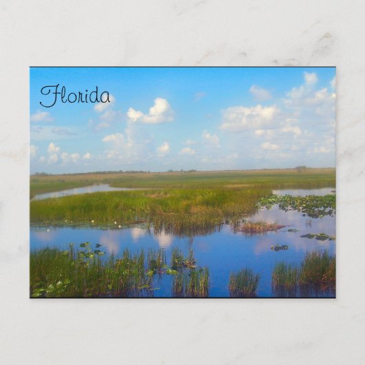 Florida Marsh Briefkaart (Voorkant)