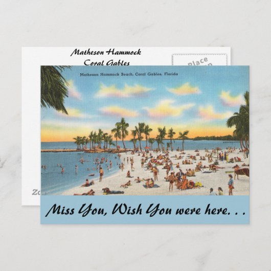 Florida, Matheson Hammock, Coral Gables Briefkaart (Voorkant / Achterkant)