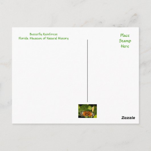 Florida Museum Butterfly Rainforest Briefkaart (Achterkant)