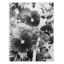 Florida Natuur Foto Artistic Monochrome Pansy