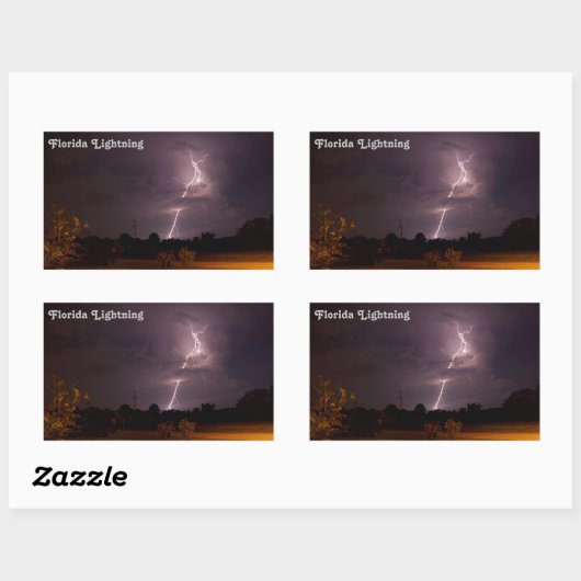 Florida Night Lightning Stickers (Vel)
