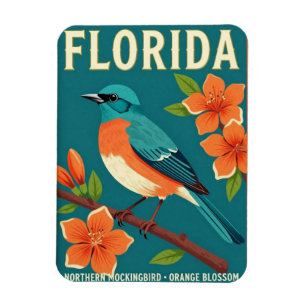 Florida Noordelijke Spotvogel Staatsvogel Botanisc Magneet