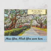 Florida, Old Dixie Highway, Daytona Beach Briefkaart (Voorkant)