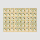 FLORIDA - omhuld pictogram Tissuepapier (Voorkant)