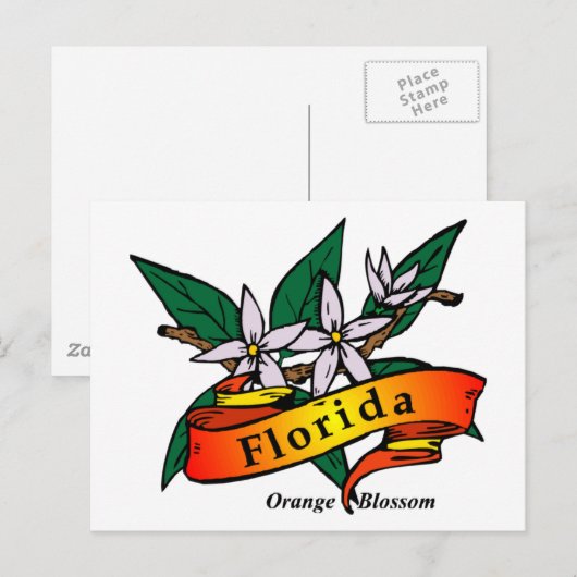 Florida Oranje Blossom Briefkaart (Voorkant / Achterkant)