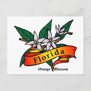 Florida Oranje Blossom Briefkaart