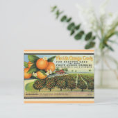 Florida Oranje Snoep Briefkaart (Staand voorkant)