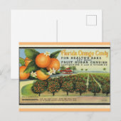 Florida Oranje Snoep Briefkaart (Voorkant / Achterkant)