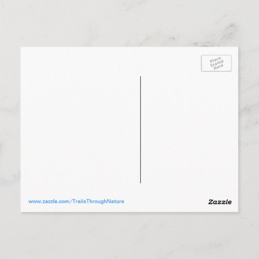 Florida Osprey havik eten vis Briefkaart (Achterkant)