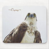 Florida Osprey Mousepad Muismat (Voorkant)