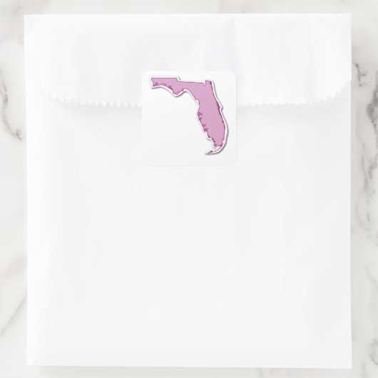 Florida Outline Sticker (Tas)