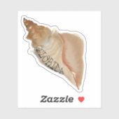 Florida Paard Conch Shell Sticker (Vel)