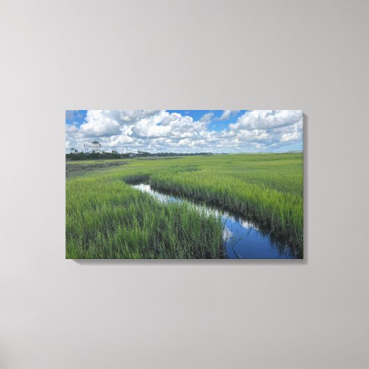 Florida Palencia Wetlands Photograph Canvas (Voorkant)