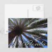 Florida Palm Briefkaart (Voorkant / Achterkant)