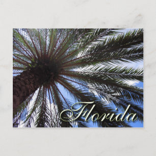 Florida Palm Briefkaart