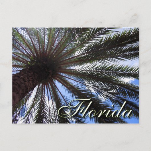 Florida Palm Briefkaart (Voorkant)