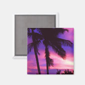 Florida Palm Sunset Magnet (Voorkant / Achterkant)