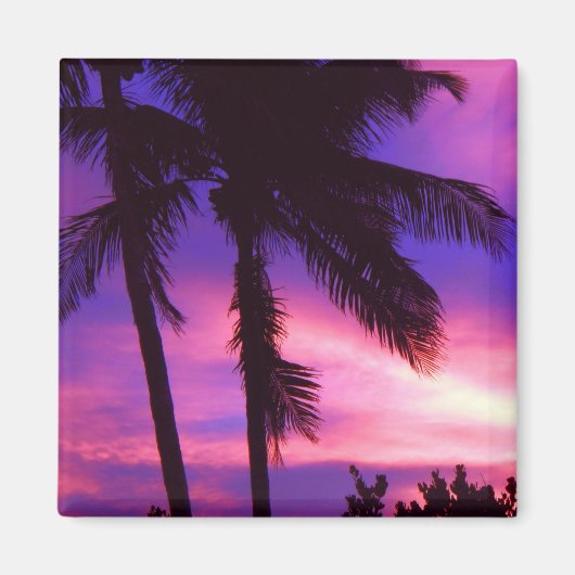 Florida Palm Sunset Magnet (Voorkant)
