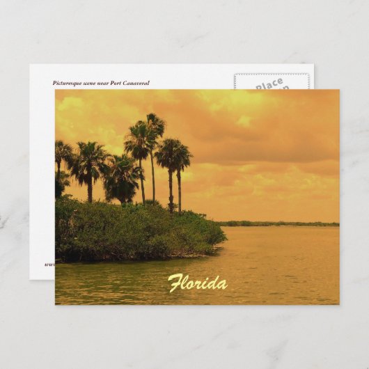 Florida Palm Tree Reverie Briefkaart (Voorkant / Achterkant)