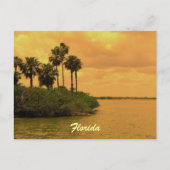 Florida Palm Tree Reverie Briefkaart (Voorkant)