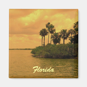 Florida Palm Tree Reverie Magneet