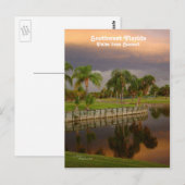 Florida Palm Tree Sunset Briefkaart (Voorkant / Achterkant)