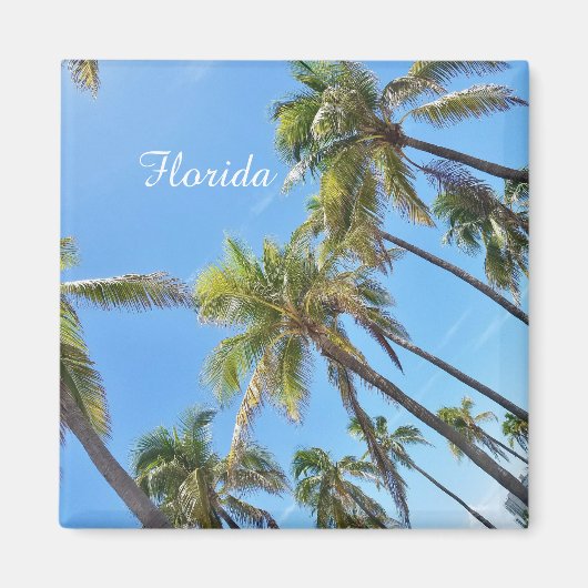 Florida Palmbomenmagneet Magneet (Voorkant)