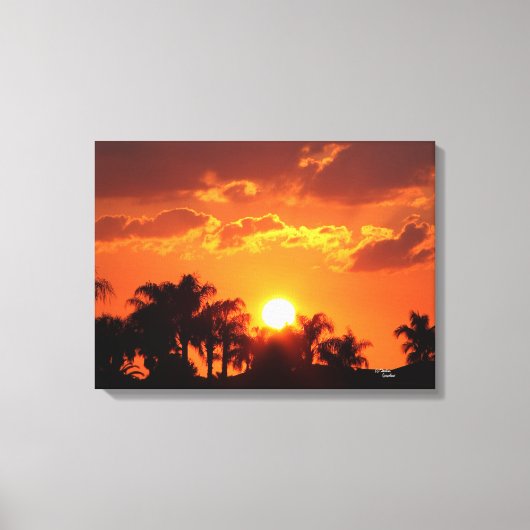 Florida palmboom zonsondergang Stretched Canvas Pr Afdruk (Voorkant)