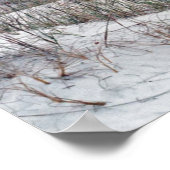 Florida Panhandle Beach Poster (Hoek)