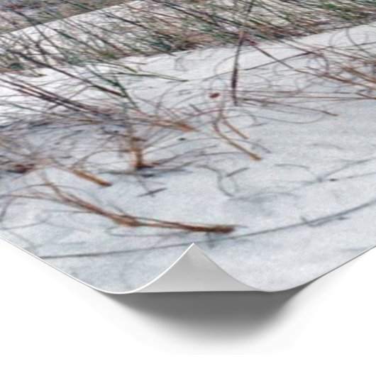 Florida Panhandle Beach Poster (Hoek)