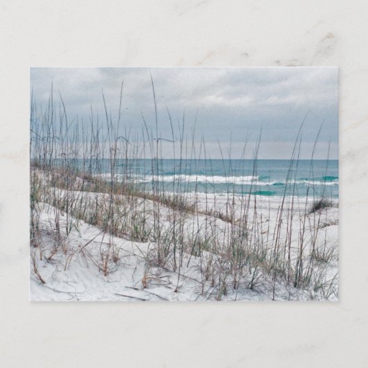 Florida Panhandle strand Briefkaart (Voorkant)
