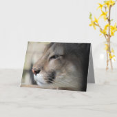 Florida Panther Birthday Kaart (Gele Bloem)