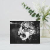 Florida Panther Briefkaart (Staand voorkant)