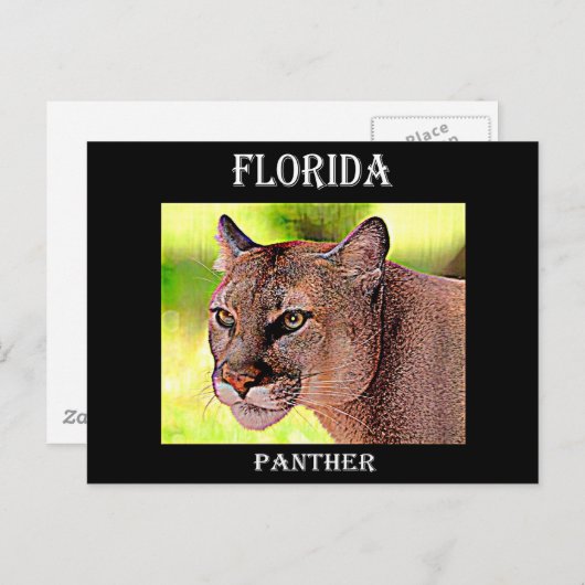 Florida Panther Briefkaart (Voorkant / Achterkant)