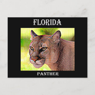 Florida Panther Briefkaart
