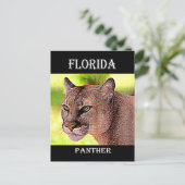 Florida Panther Briefkaart (Staand voorkant)