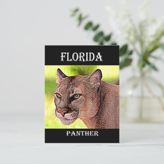 Florida Panther Briefkaart (Staand voorkant)