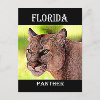 Florida Panther Briefkaart