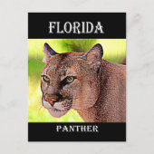 Florida Panther Briefkaart (Voorkant)