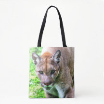 FLORIDA PANTHER - CANVAS TAS